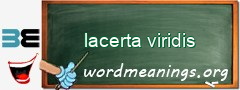 WordMeaning blackboard for lacerta viridis